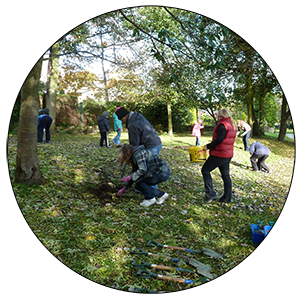 Bulb planting in Ecclesfield Park
